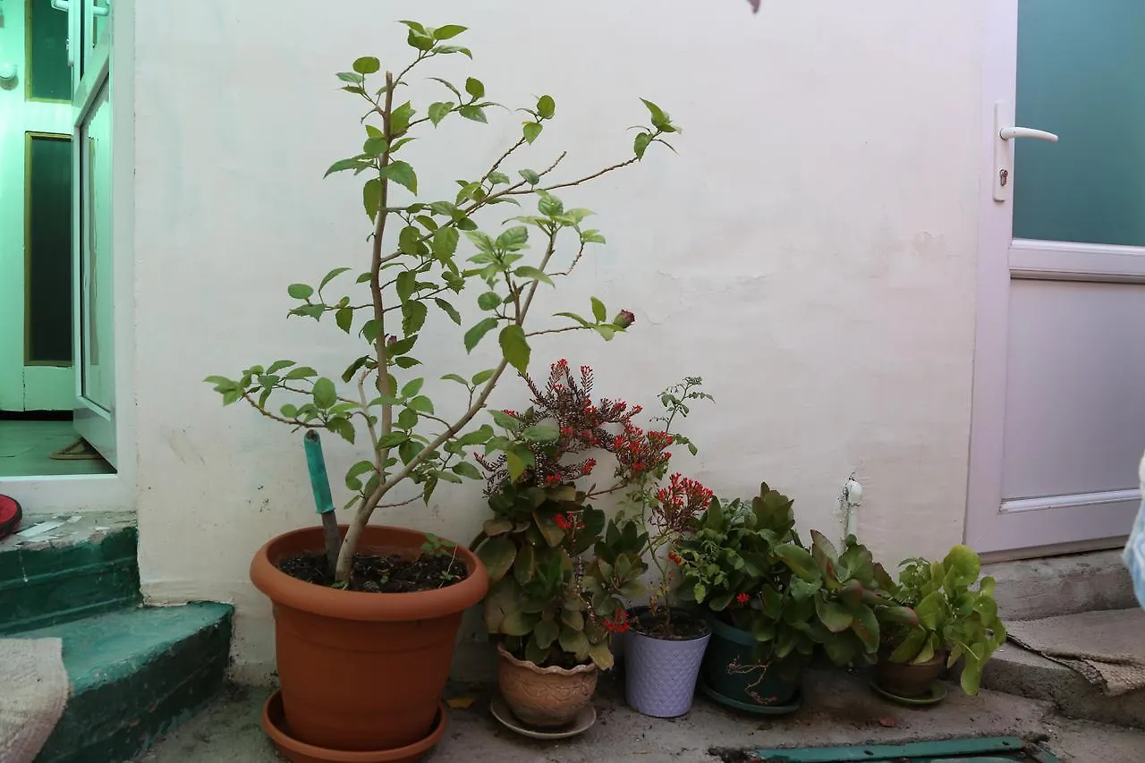 Guest House Nise Tbilisi